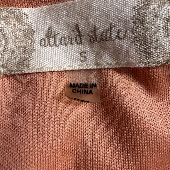 Altard State Dress Womens Small Rose Swiss Dot Cottage Ruffle Zip Up Flowy Gauzy - Picture 5 of 14